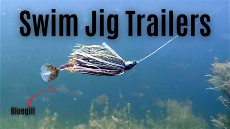 3 Best Swim Jig Trailers Youtube