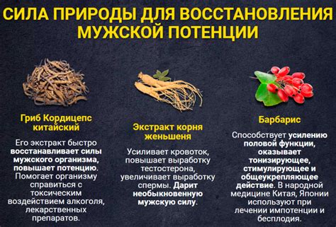 Секрет Императора для мужчин – цена, отзывы