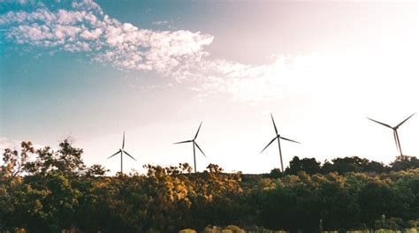 Energías Renovables Qué Son Y Por Qué Son Tan Importantes