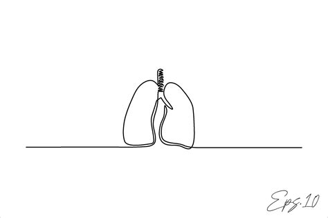 Continuous line art drawing of lungs 43180513 Vector Art at Vecteezy