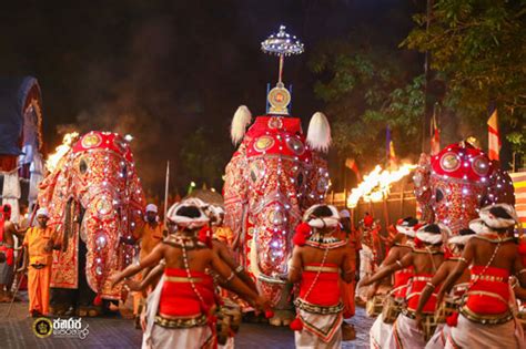 Janaraja Perahera (Republican Parade) – 2023 – Sri Dalada Maligawa – Temple of the Sacred Tooth ...