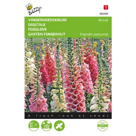 Digitalis Purpurea Mix G Groenrijk Raalte