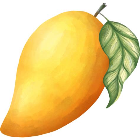 Free Download Mango Png Images Transparent Image