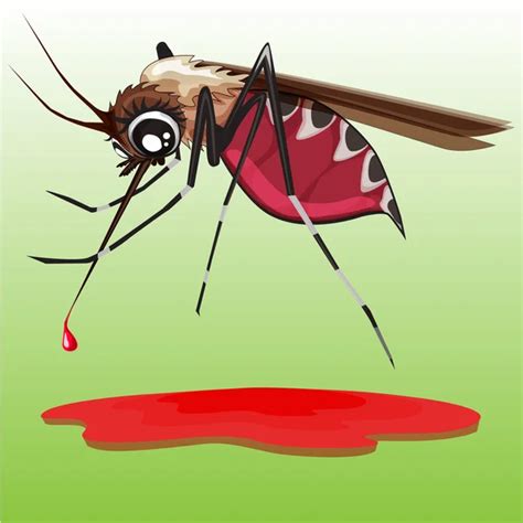 Angry Mosquito Funny Cartoon Stock Vector Image By ©jackybrown 198270452