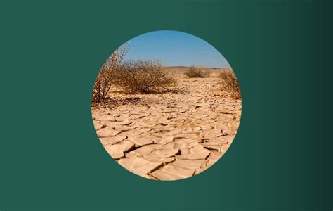 Día Mundial de Lucha Contra la Desertificación y la Sequía Secretaría