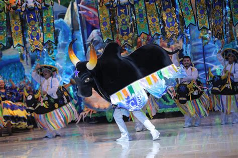 Boi Caprichoso é campeão do 56º Festival Folclórico de Parintins AM