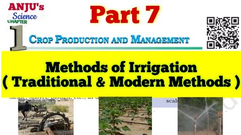 Methods Of Irrigation Traditional Methods Modern Methods Class 8