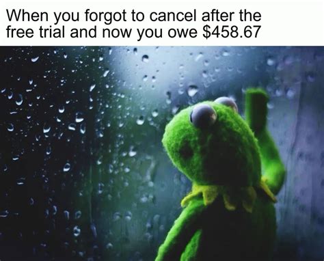 Sad Kermit Meme Maker — Kapwing