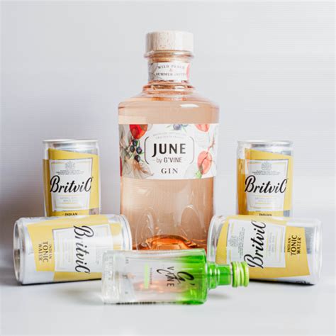 JUNE BY G VINE GIN DE DURAZNO X 0 70 L Combo Floraison Miniatura 4