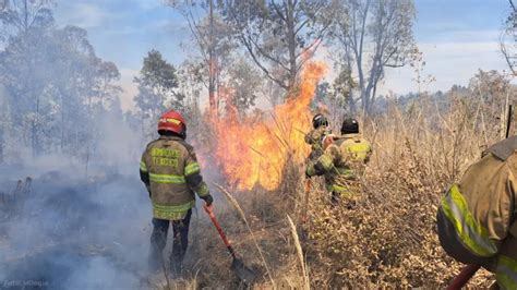 Incendios Forestales En México Edomex Suma 4 Víctimas Y Hay 120 Focos