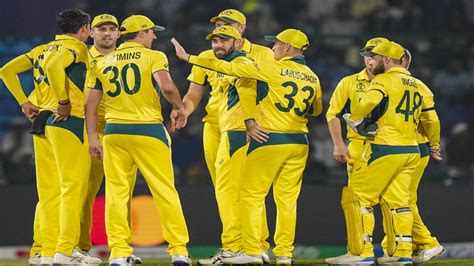 Australia Cricket Team Biggest Win Icc Odi World Cup History Win Match