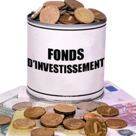 Un Fond D Investissement Fiduce