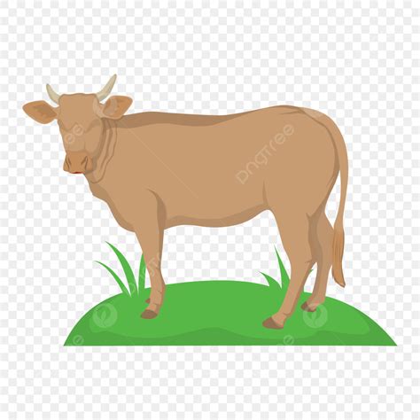 Hình ảnh Qurban 2022 PNG Vector PSD và biểu tượng để tải về miễn phí