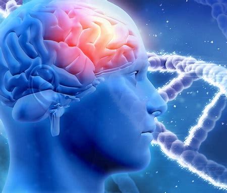 Tumori Cerebrali Informare I Pazienti Coinvolgere Le Cure Primarie