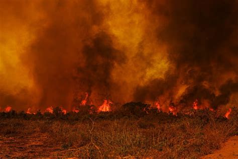 Amaz Nia E Pantanal Fuma A De Queimadas Se Espalha Por Sul E Sudeste