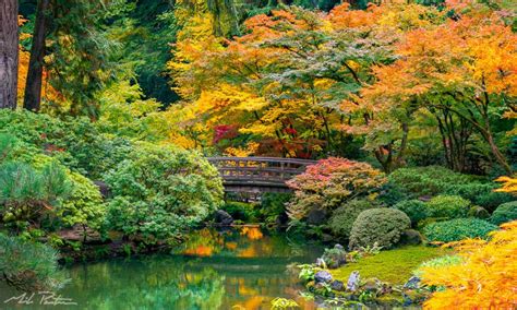 Portland Japanese Garden Fall Color Mike Putnam Photography