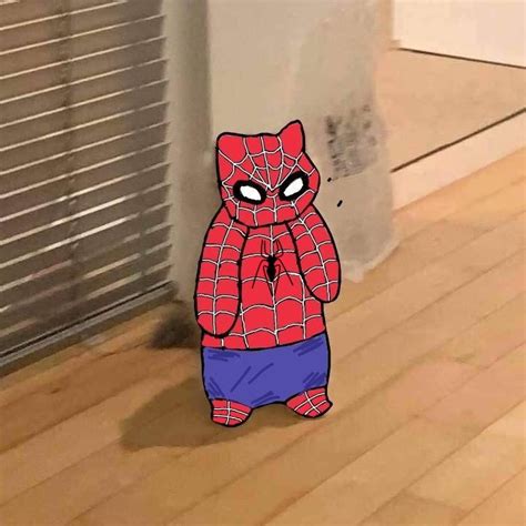 Gato Parado Spider Man Tobey Amazing Spiderman Gato Anime Hechos De