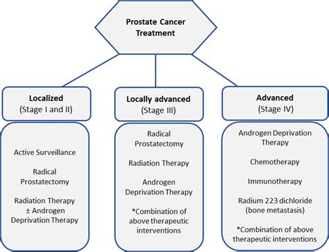 Schematic Diagram Showing Guidelines For Standardized Prostate Cancer