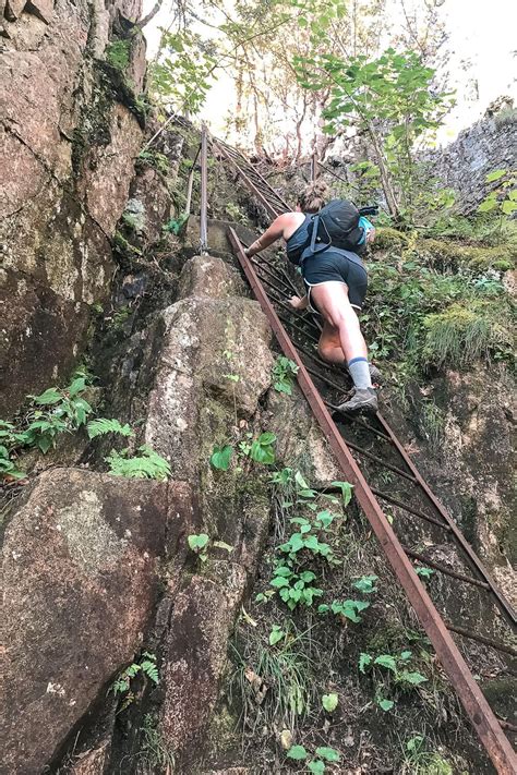 Hike The Beech Cliff Trail In Acadia National Park