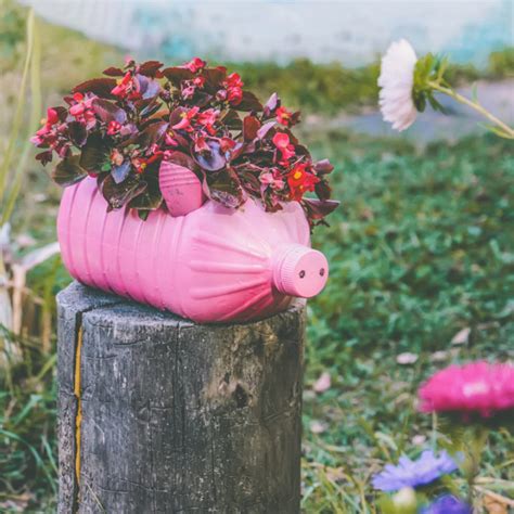 Riciclo Creativo Vasi E Decorazioni Originali Per Il Giardino Con