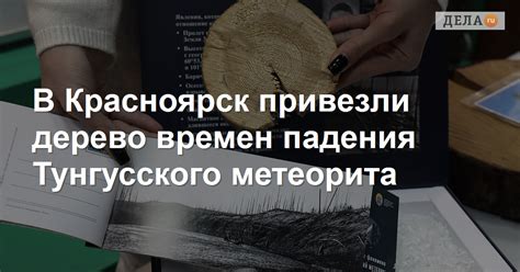 В Красноярск привезли дерево времен падения Тунгусского метеорита