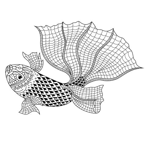 Betta Fish Line Art Vector Art At Vecteezy