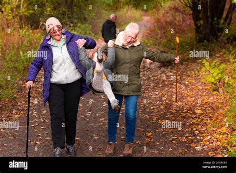 Old People Walking With Young Child Stock Photo Alamy