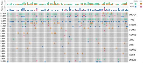 Genetic Landscape Of Breast Cancer And Mutation Tracking With