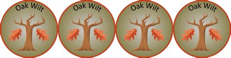 Oak Wilt Quiz Plant Disease Diagnostics Clinic