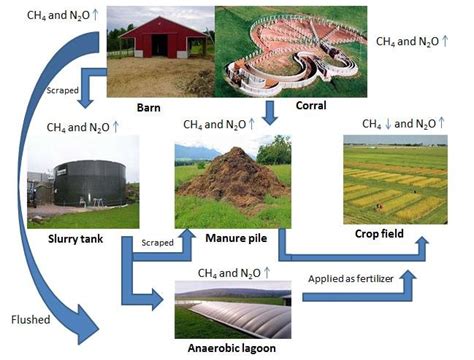 Mechanism Of Methane Production And Emission Jafari Et Al