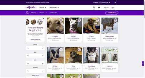 9 Best Pet Adoption Websites: Where to Find a New Pooch!