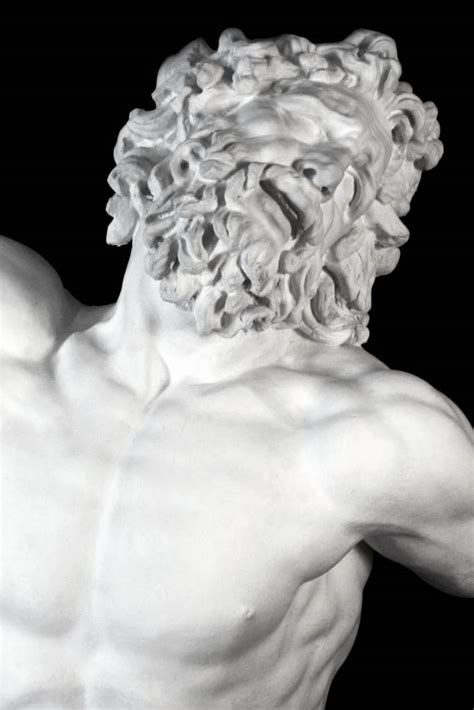 Busto di Laocoonte calco dall’originale - FeliceCalchi