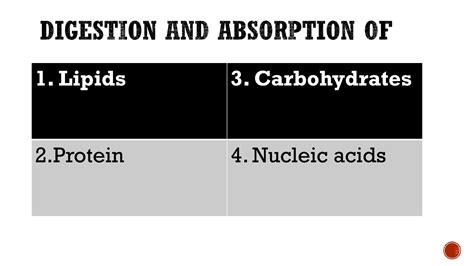 Solution Digestion And Absorption Of Lipid Protein Carbohydrates And Nucleotideswrap 1 Git