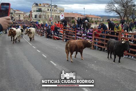 VÍDEO Y FOTOS Sustos tensión y un herido por asta de toro en el