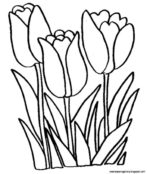 Tulip Black And White Clip Art | Wallpapers Gallery