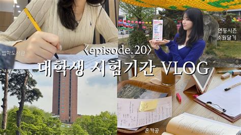 5전공 듣는 3학년의 시험기간 VLOG 동국대 브이로그 중간고사 기간 법도 카공 연등시즌 소원달기 대학교