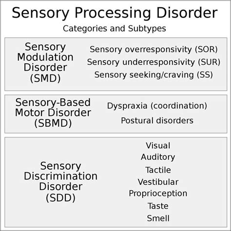 Sensory Processing Disorder Wikipedia In 2022 Sensory Processing