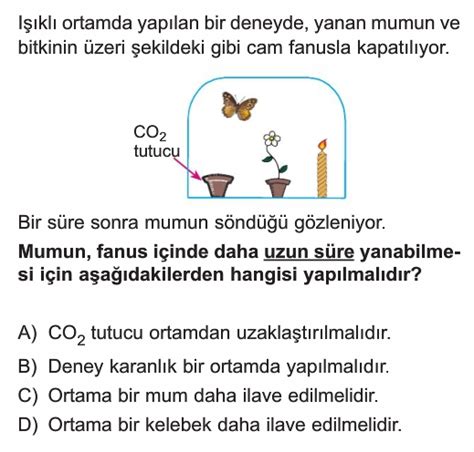 8 Sınıf Enerji Dönüşümleri Test Çöz Lgs Fen Bilimleri Çözümlü Sorular