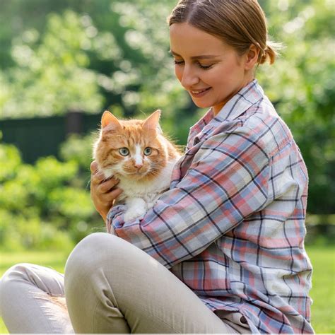 How To Choose The Best Cat Breed Complete Guide