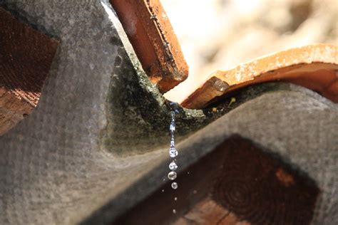 Infiltrazioni Acqua Piovana Dal Tetto Rimedi E Responsabilit