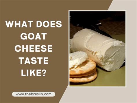 What Does Goat Cheese Taste Like A Distinctive Taste 2023