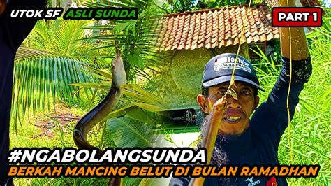 Berkah Mancing Belut Di Bulan Ramadhan Part Ngabolangsunda Youtube