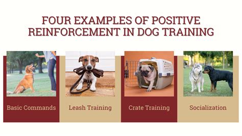 Positive Reinforcement For Strengthening Dog Bonds