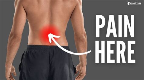 Freeing The Back From Pain: 5 Simple Stretches To Relieve A Stiff Lower Back