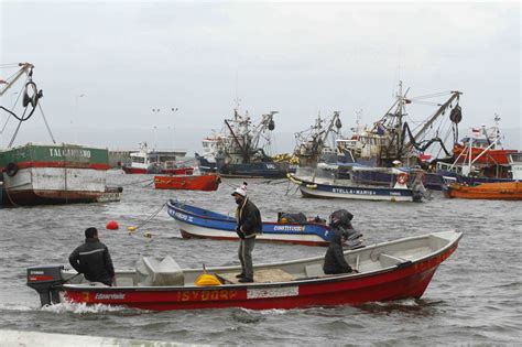 Caleta Más Cerca El Programa Remoto De Sernapesca Que Conecta A La