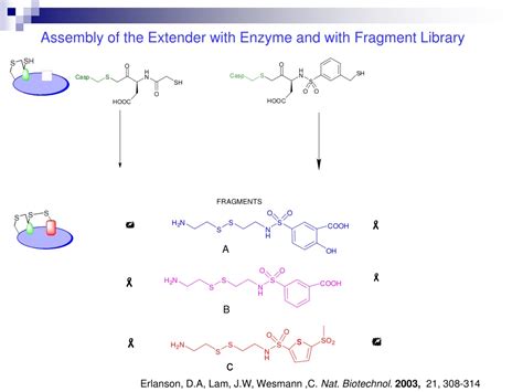 PPT FRAGMENT BASED DRUG DESIGN PowerPoint Presentation Free