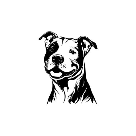 Pitbull Svg Pitbull Clipart Pitbull Svg Files For Cricut Inspire
