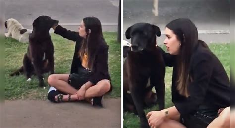 TikTok Viral Joven Habla Con Perrito Callejero Sobre Su Vida Y Sus