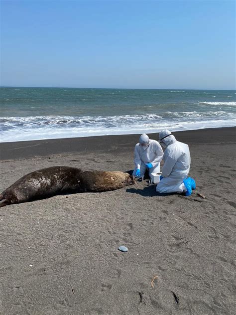 Servicio Nacional De Pesca Y Acuicultura On Twitter Maule Acudimos