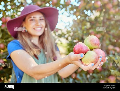 Farmer Harvesting Juicy Nutritious Organic Fruit In Season Ready To Eat Closeup Of One Woman